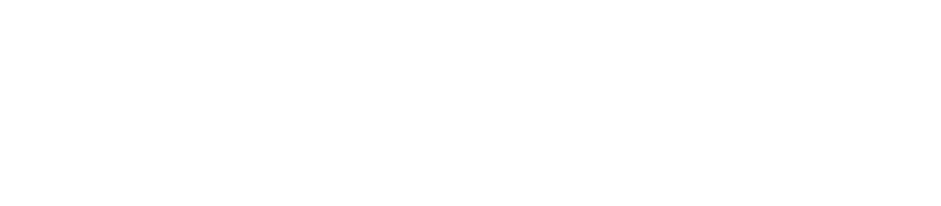 logo footer bki